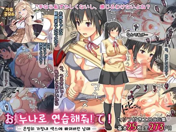 Onee-Chan De Renshuu Sasete! -Naisho No Kateinai SEX Ni Fukeru Shitei- | 누나로 연습해줘! -은밀히 가정내 섹스에 빠져버린 남매-